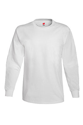 5586 - Hanes Authentic-T Long Sleeve T-shirt