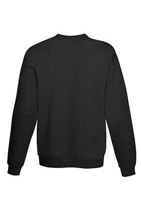 P160 - Hanes EcoSmart Sweatshirt