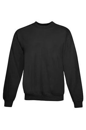 P160 - Hanes EcoSmart Sweatshirt