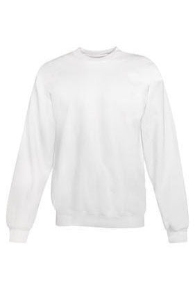 P160 - Hanes EcoSmart Sweatshirt